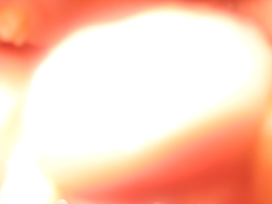 IMG_0044 (01-06-2013 11:23)