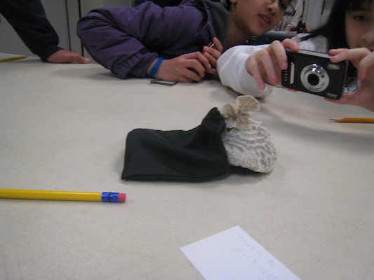 IMG_0049 (01-13-2013 10:56)