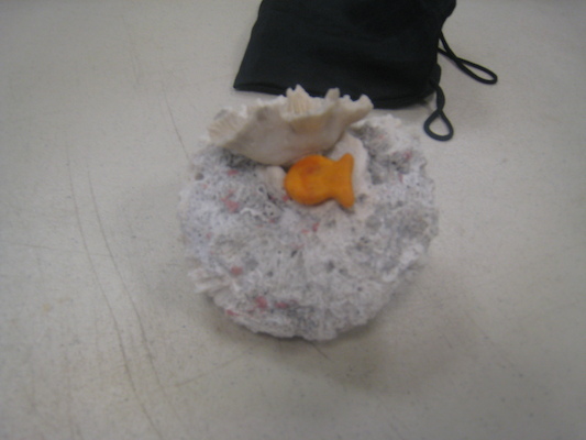 IMG_0051 (01-13-2013 10:59)