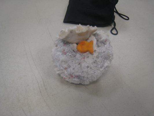 IMG_0052 (01-13-2013 10:59)