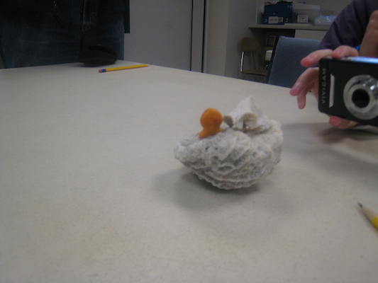 IMG_0053 (01-13-2013 11:01)