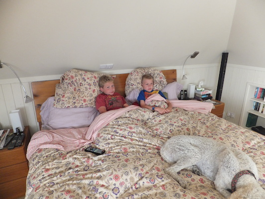 DSCF5680 (07-05-2013 19:30)