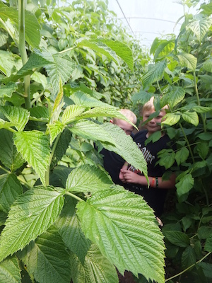 DSCF5721 (07-08-2013 11:42)