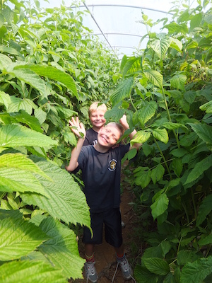 DSCF5722 (07-08-2013 11:42)