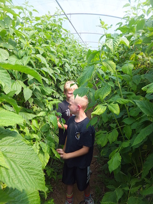 DSCF5723 (07-08-2013 11:42)