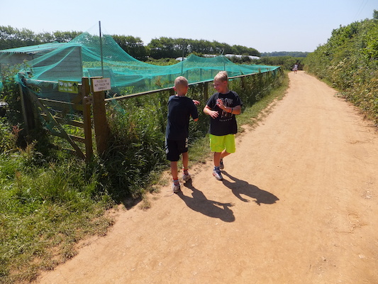 DSCF5724 (07-08-2013 11:46)