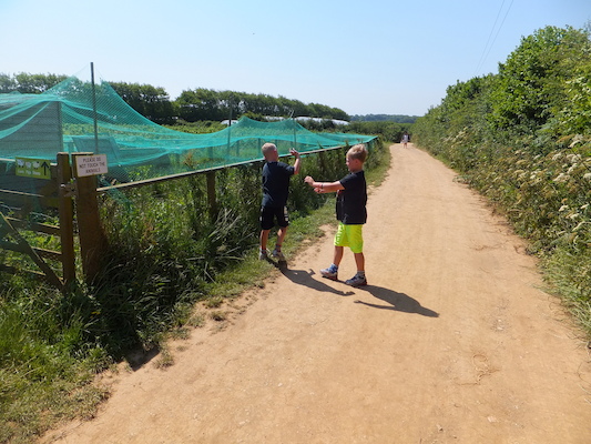 DSCF5725 (07-08-2013 11:46)