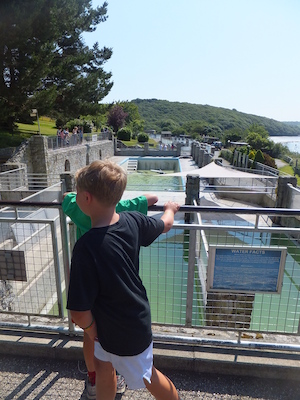 DSCF5732 (07-09-2013 10:34)