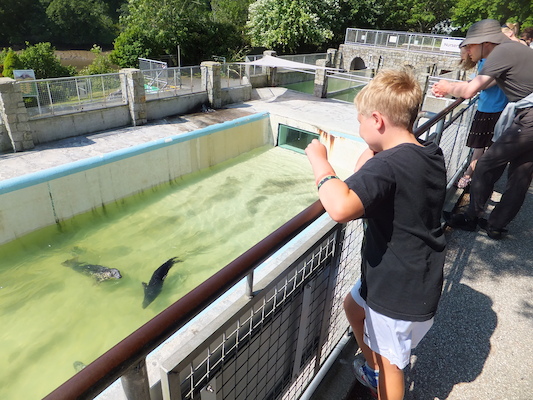 DSCF5733 (07-09-2013 10:35)