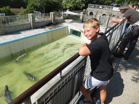 DSCF5734 (07-09-2013 10:35)