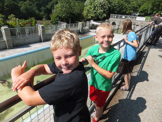 DSCF5735 (07-09-2013 10:35)