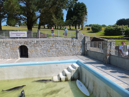 DSCF5736 (07-09-2013 10:36)