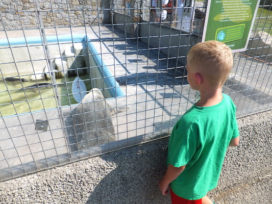 DSCF5737 (07-09-2013 10:36)