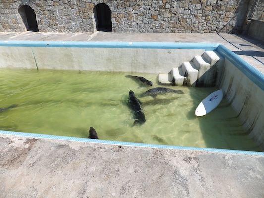 DSCF5738 (07-09-2013 10:37)