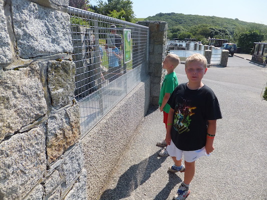 DSCF5739 (07-09-2013 10:37)