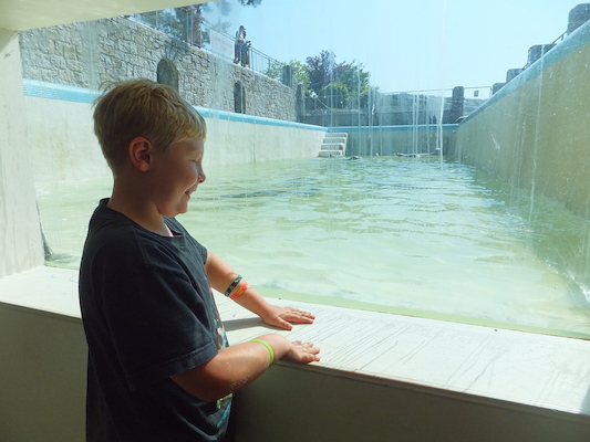 DSCF5740 (07-09-2013 10:40)