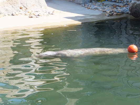 DSCF5741 (07-09-2013 10:51)