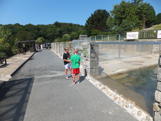 DSCF5742 (07-09-2013 10:51)