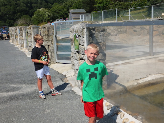 DSCF5743 (07-09-2013 10:51)