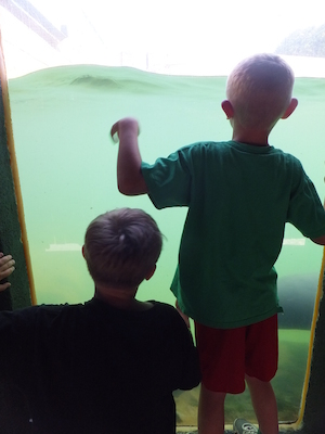 DSCF5744 (07-09-2013 10:52)