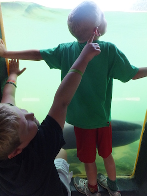 DSCF5745 (07-09-2013 10:52)