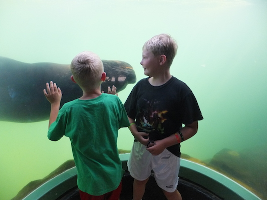 DSCF5747 (07-09-2013 10:53)