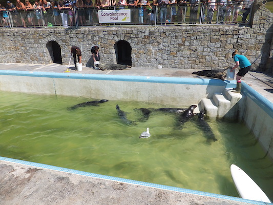 DSCF5748 (07-09-2013 11:08)