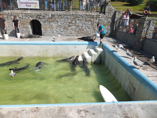 DSCF5749 (07-09-2013 11:08)