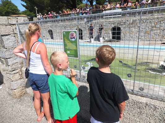 DSCF5750 (07-09-2013 11:08)