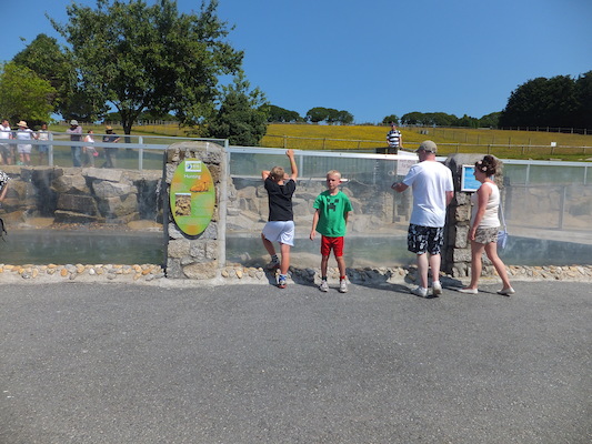 DSCF5751 (07-09-2013 11:14)