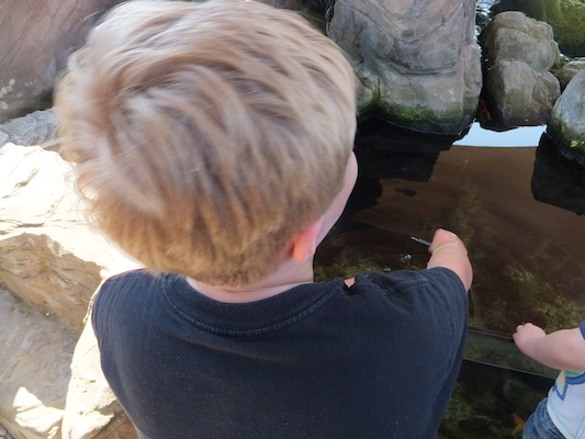 DSCF5758 (07-09-2013 11:41)