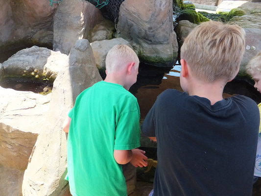 DSCF5759 (07-09-2013 11:41)