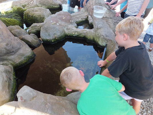 DSCF5760 (07-09-2013 11:41)