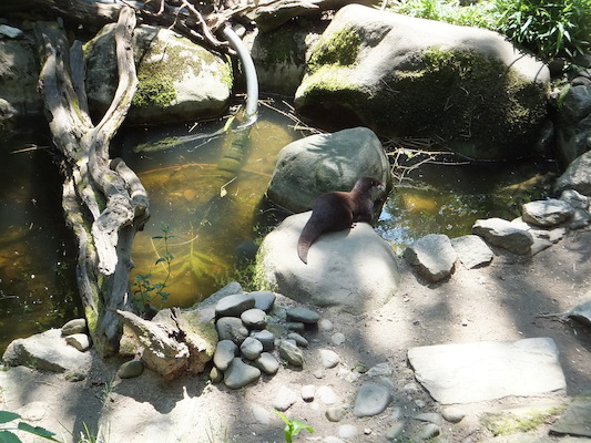 DSCF5761 (07-09-2013 11:54)