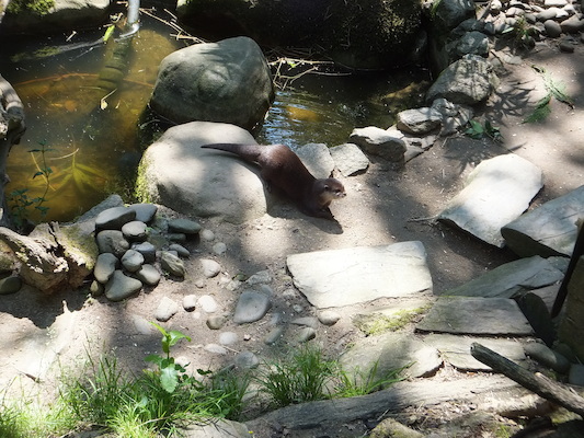 DSCF5762 (07-09-2013 11:54)