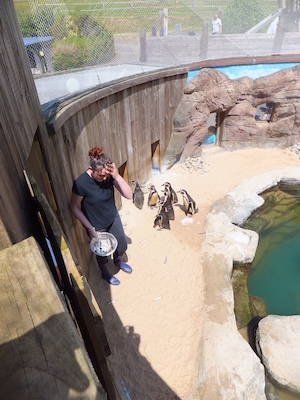 DSCF5763 (07-09-2013 12:04)