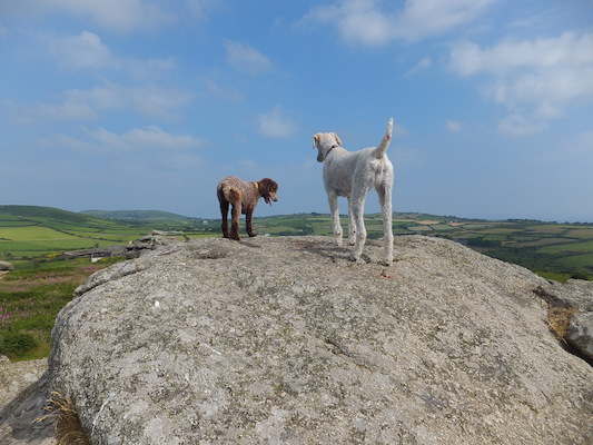 DSCF5770 (07-11-2013 09:48)