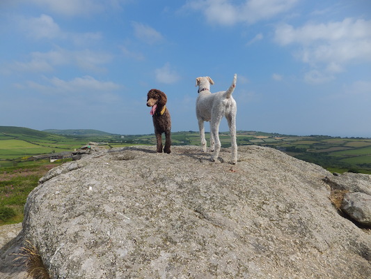 DSCF5771 (07-11-2013 09:48)