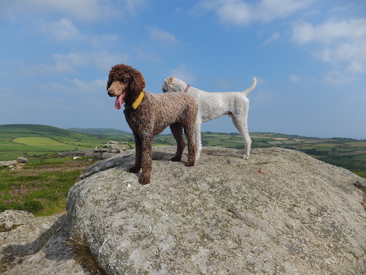 DSCF5772 (07-11-2013 09:48)