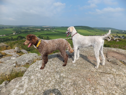 DSCF5773 (07-11-2013 09:49)