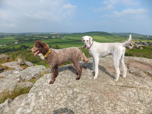 DSCF5774 (07-11-2013 09:49)