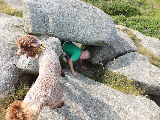 DSCF5780 (07-11-2013 09:51)