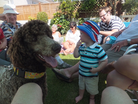 DSCF5811 (07-13-2013 15:40)