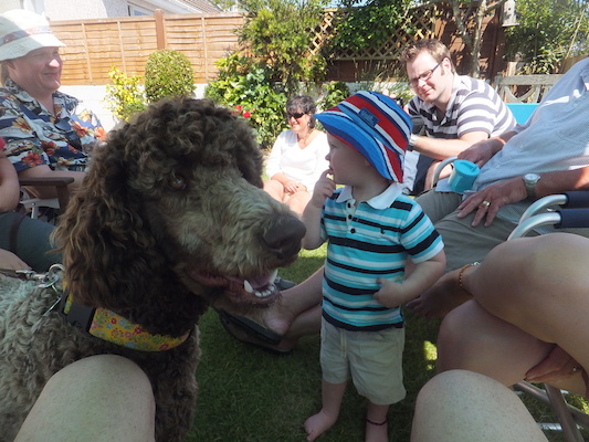 DSCF5812 (07-13-2013 15:40)