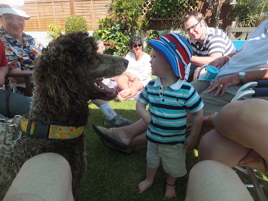 DSCF5813 (07-13-2013 15:40)