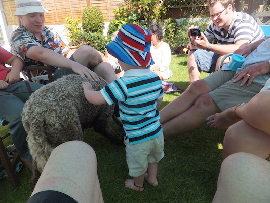 DSCF5815 (07-13-2013 15:40)