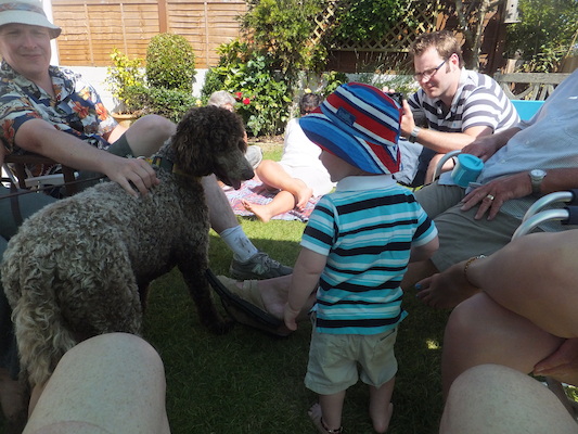 DSCF5816 (07-13-2013 15:40)