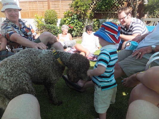 DSCF5817 (07-13-2013 15:40)