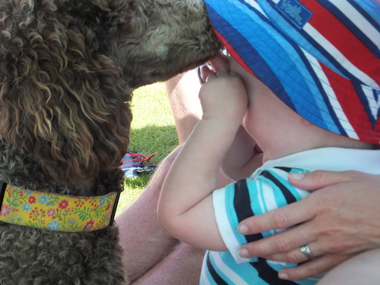 DSCF5819 (07-13-2013 15:40)