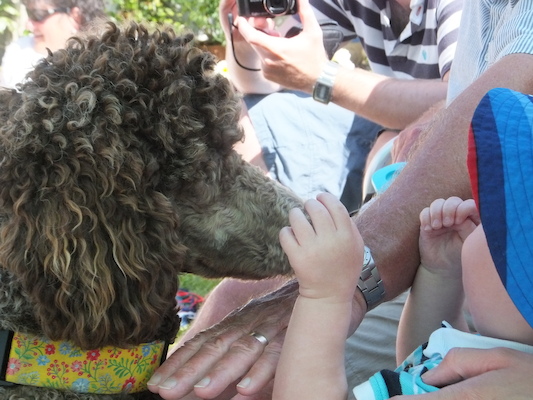 DSCF5820 (07-13-2013 15:40)